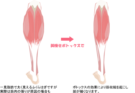 美容外科 美容皮膚科 形成外科 共立美容外科仙台院