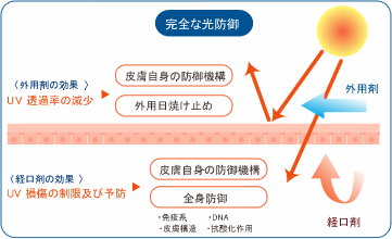 完全な光防御