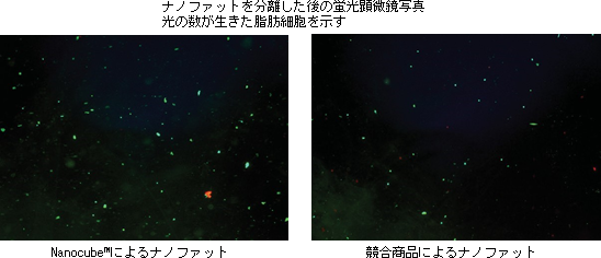 ナノキューブ